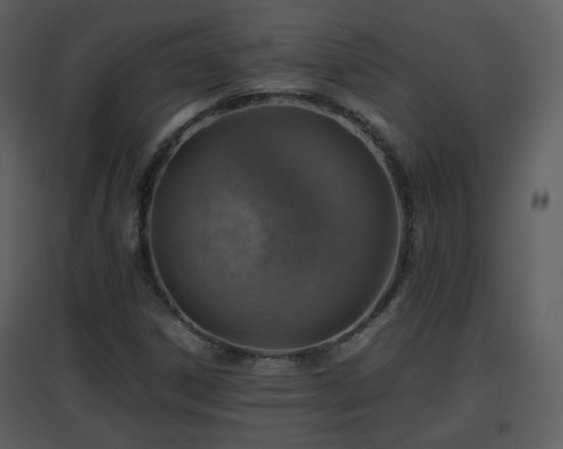 X0000096701306200802121153