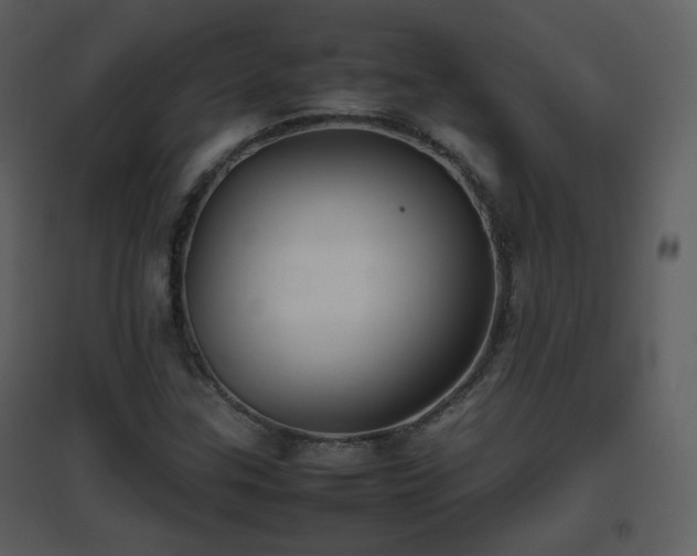 X0000096701307200802121153