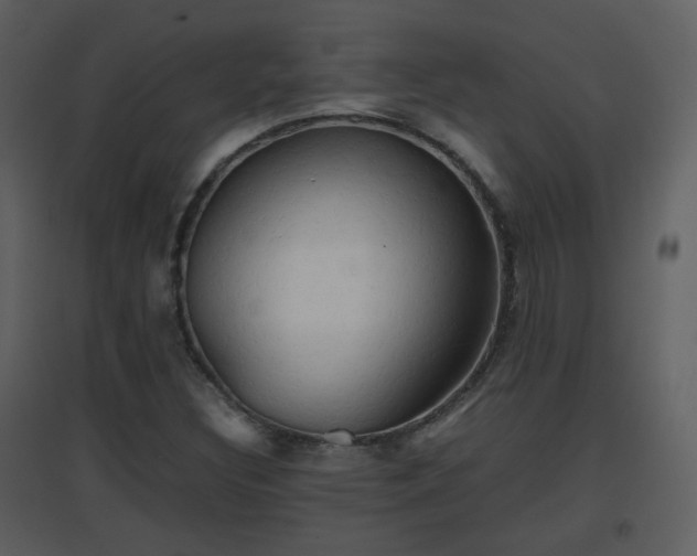 X0000096701308200802121153