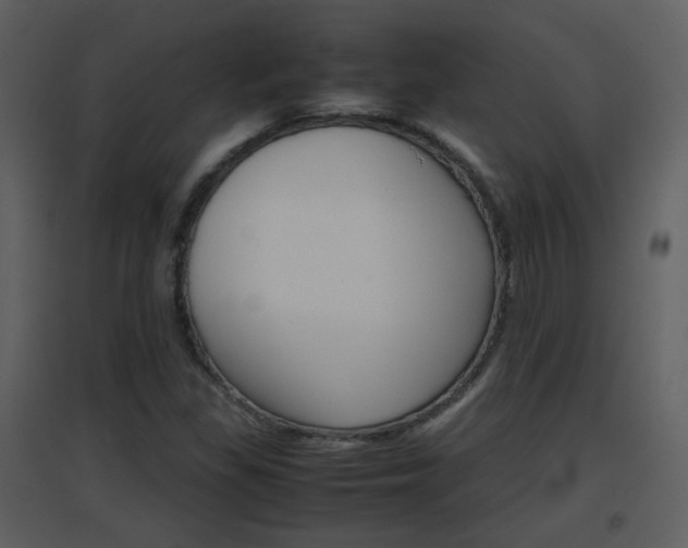 X0000096701309200802121153