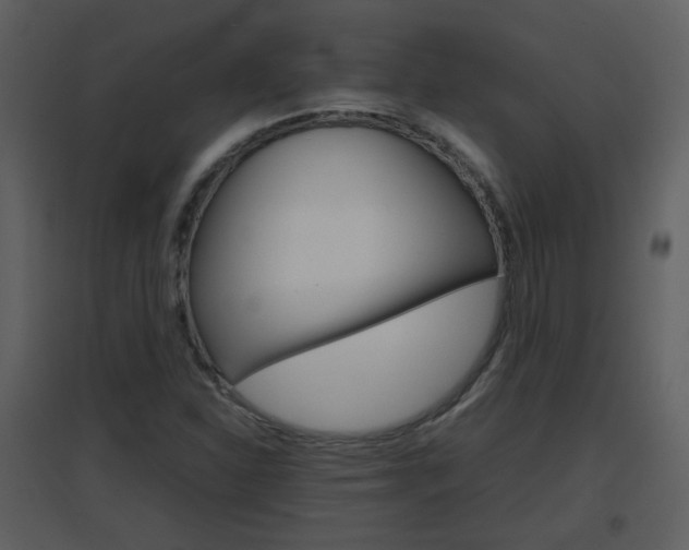 X0000096701310200802121153