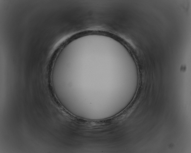 X0000096701311200802121153