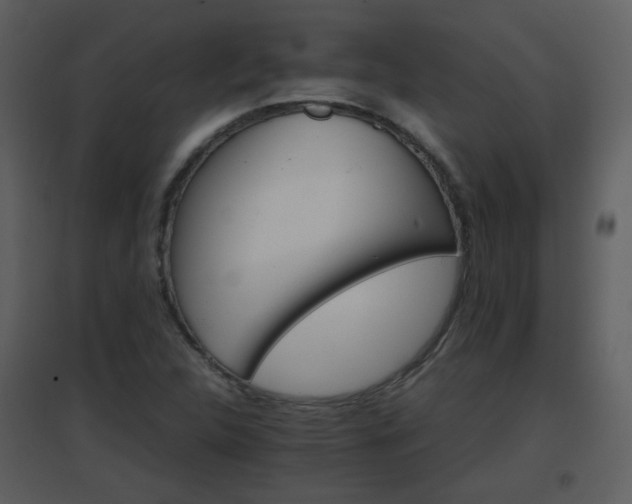 X0000096701312200802121153