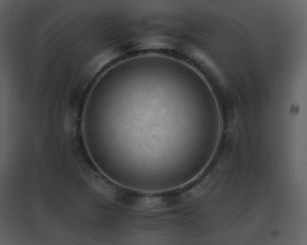 X0000096701313200802121153