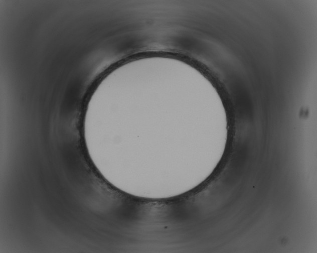 X0000096701314200802121154