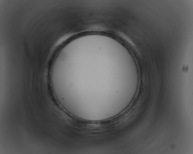 X0000096701315200802121154