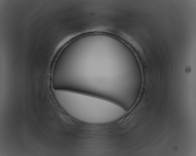 X0000096701316200802121154