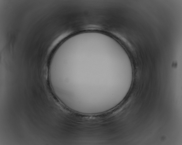 X0000096701317200802121154