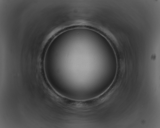 X0000096701318200802121154