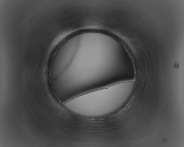 X0000096701319200802121154