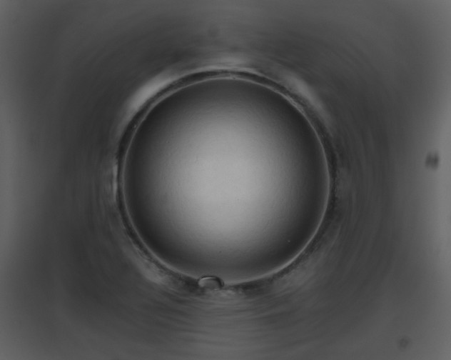 X0000096701320200802121154