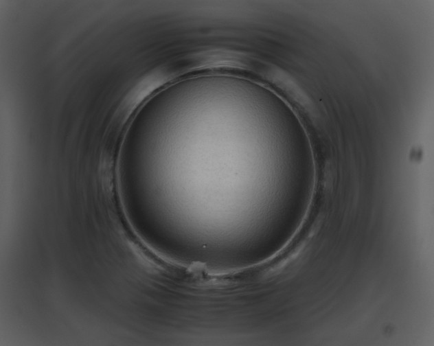 X0000096701321200802121154
