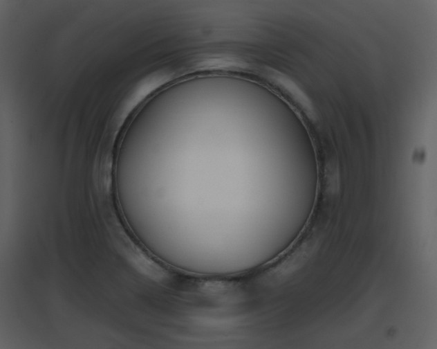 X0000096701322200802121154