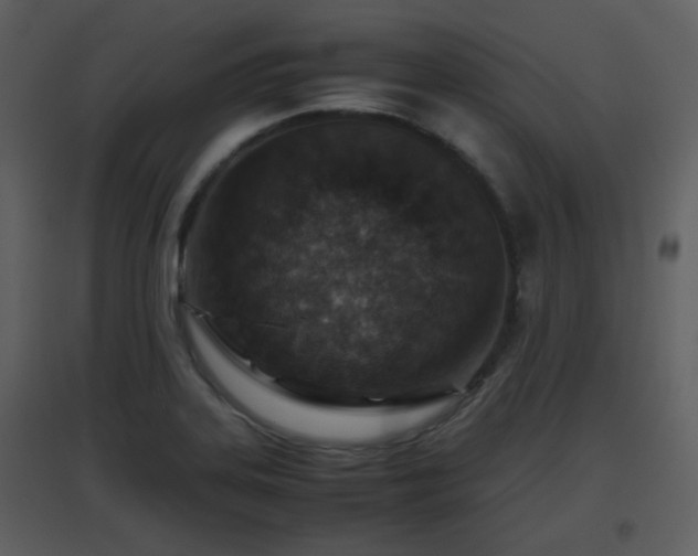 X0000096701323200802121154