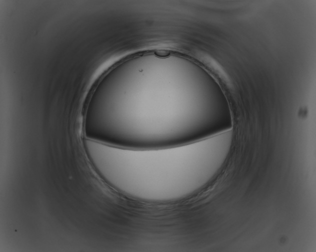 X0000096701324200802121154