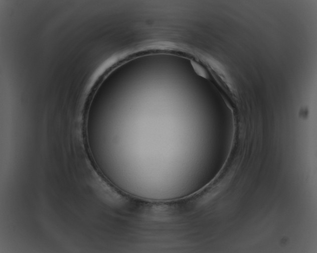 X0000096701326200802121154