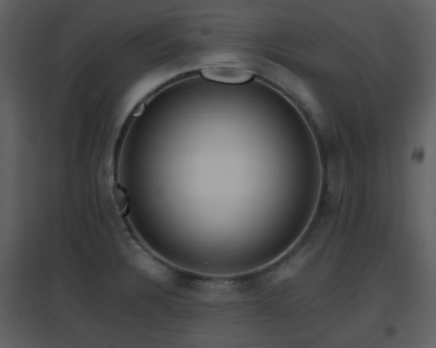 X0000096701328200802121154