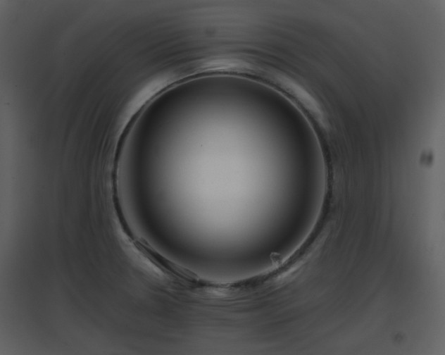 X0000096701330200802121154