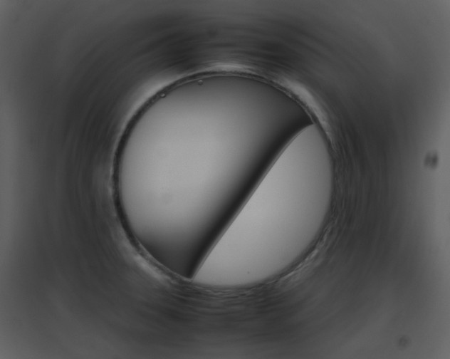 X0000096701331200802121154