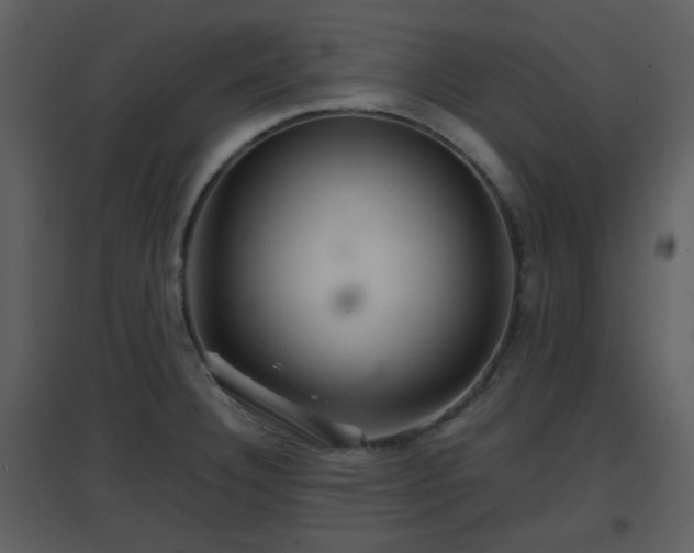 X0000096701332200802121154