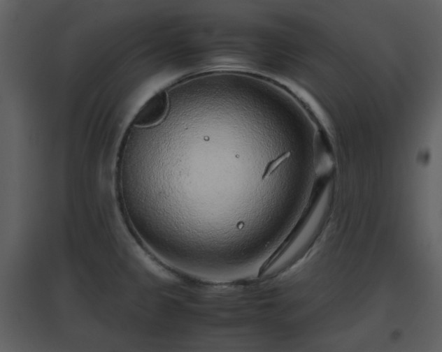 X0000096701333200802121154