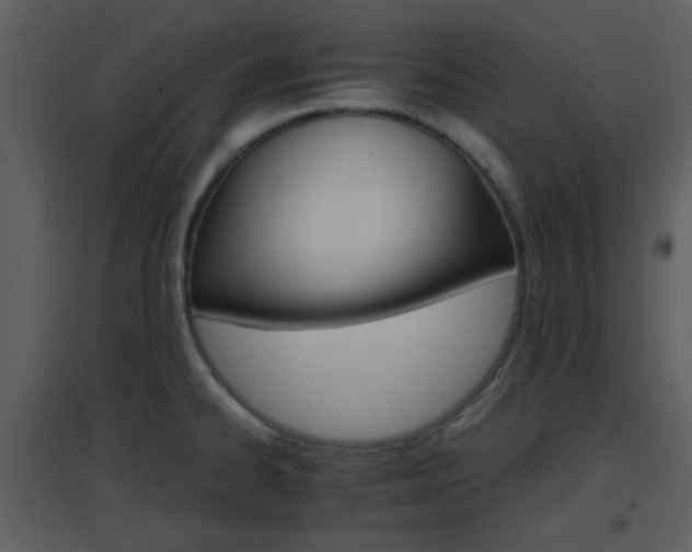 X0000096701334200802121154