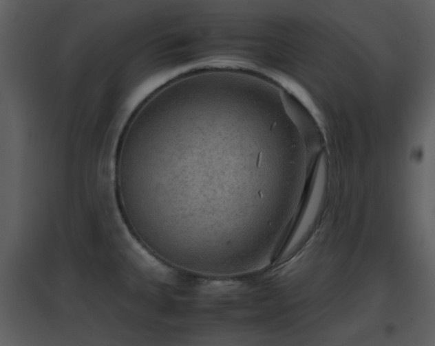 X0000096701335200802121154
