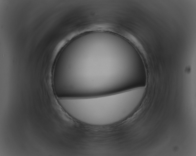 X0000096701336200802121154