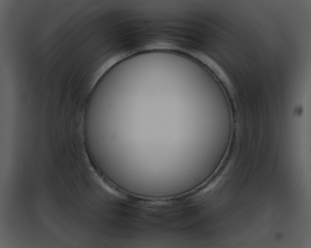 X0000096701337200802121154
