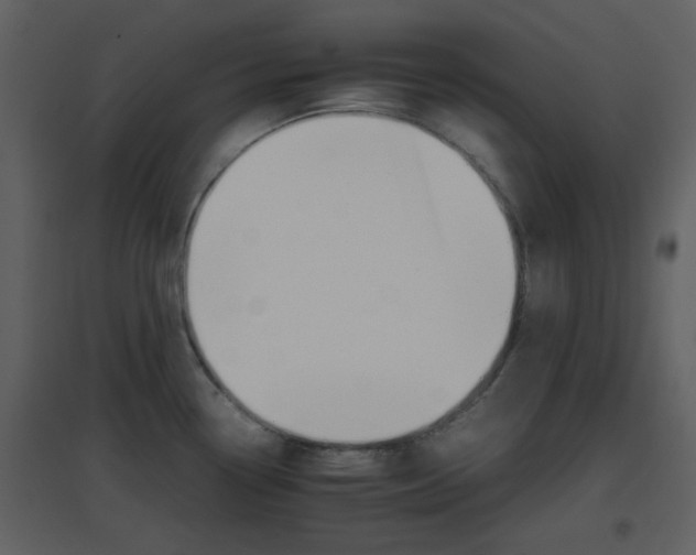 X0000096701338200802121154