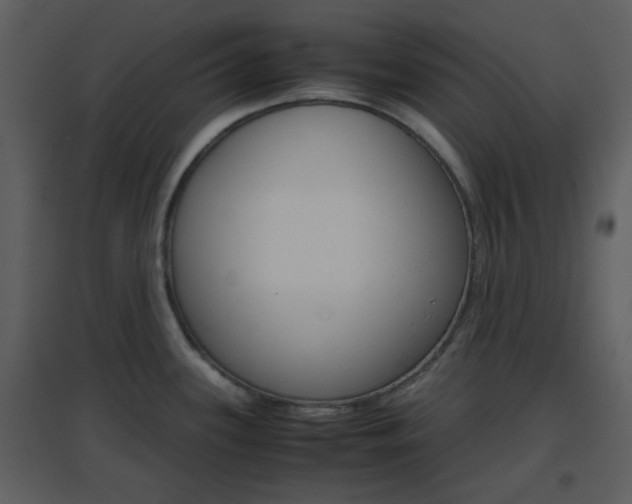X0000096701339200802121154