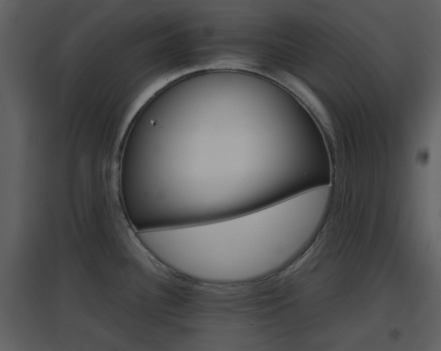 X0000096701340200802121154