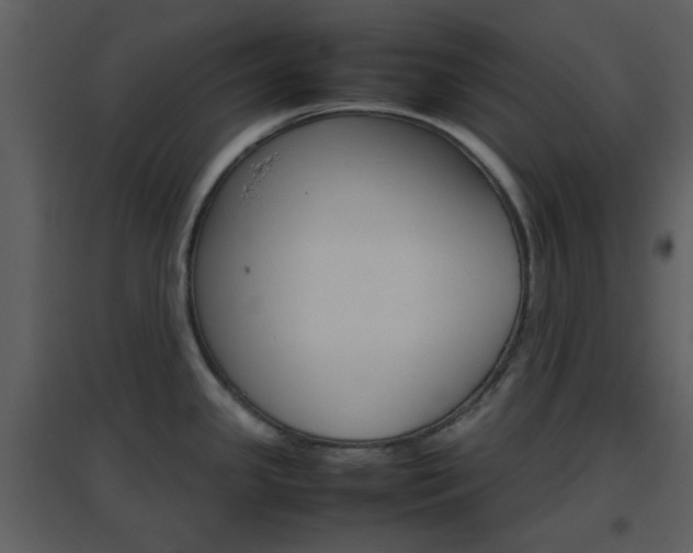 X0000096701341200802121154