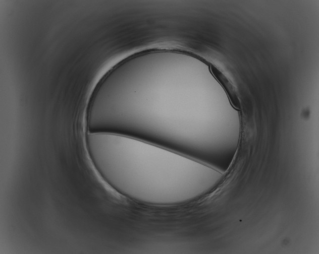 X0000096701343200802121154