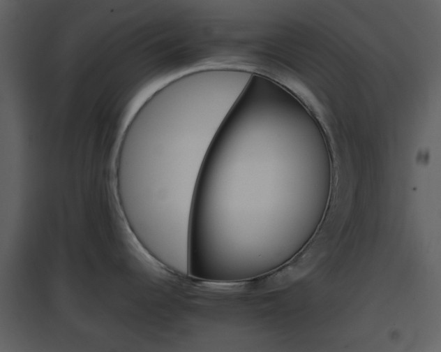 X0000096701344200802121154