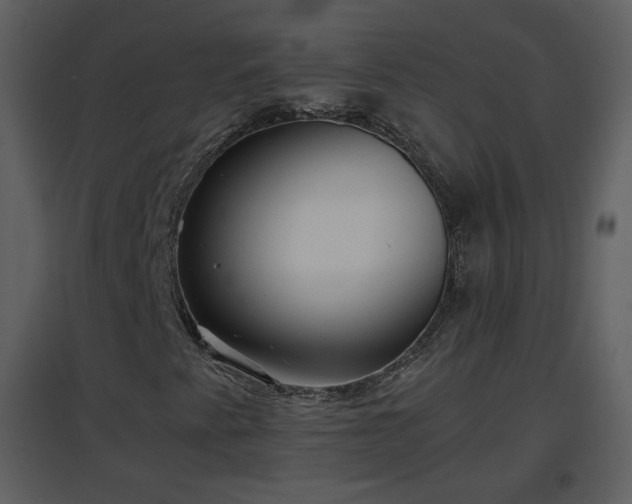 X0000096701345200802121153