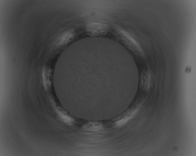 X0000096701346200802121153