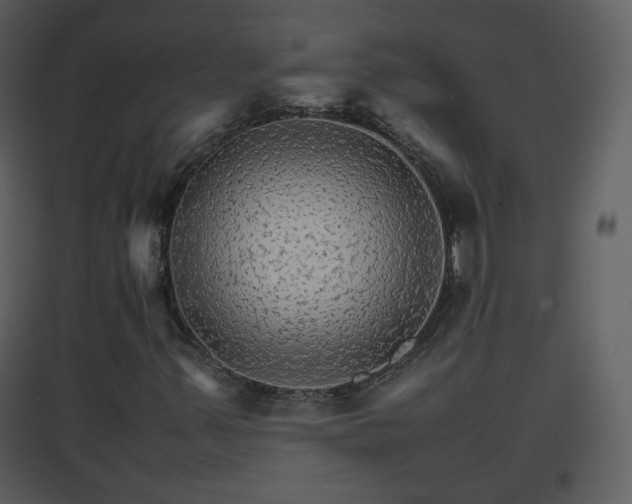 X0000096701347200802121153