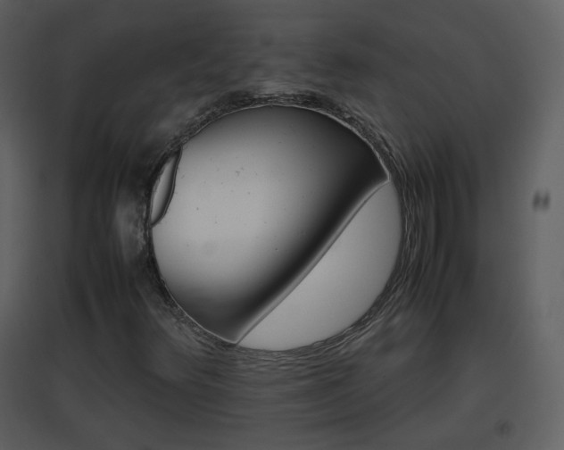 X0000096701348200802121153