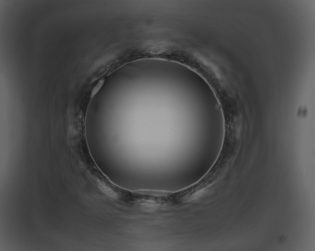 X0000096701349200802121153