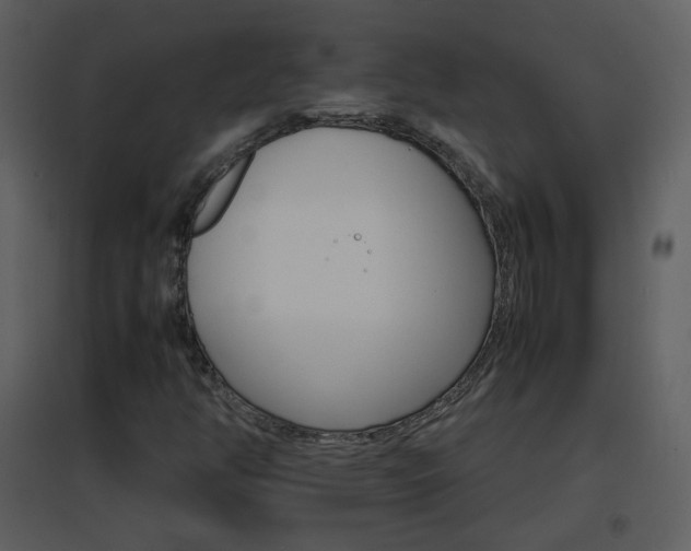 X0000096701350200802121153