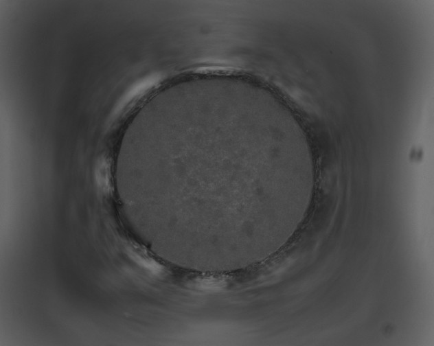 X0000096701351200802121153