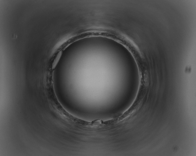 X0000096701352200802121153