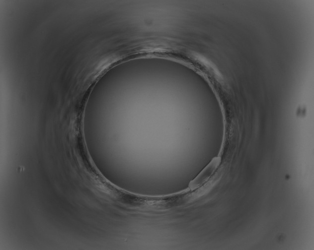X0000096701353200802121153