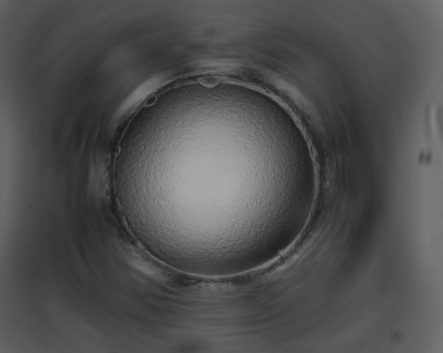 X0000096701354200802121153