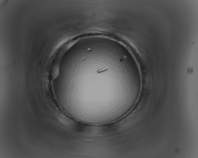 X0000096701355200802121153