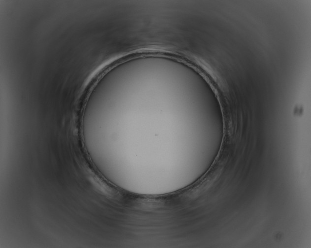 X0000096701356200802121153