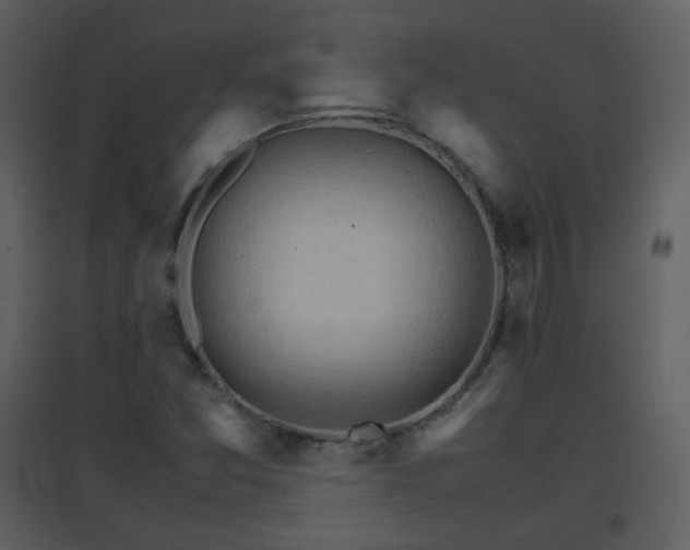 X0000096701357200802121153