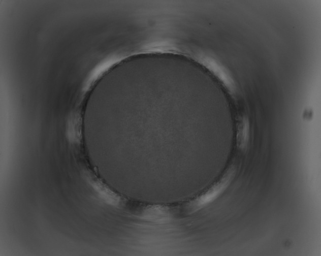 X0000096701358200802121153
