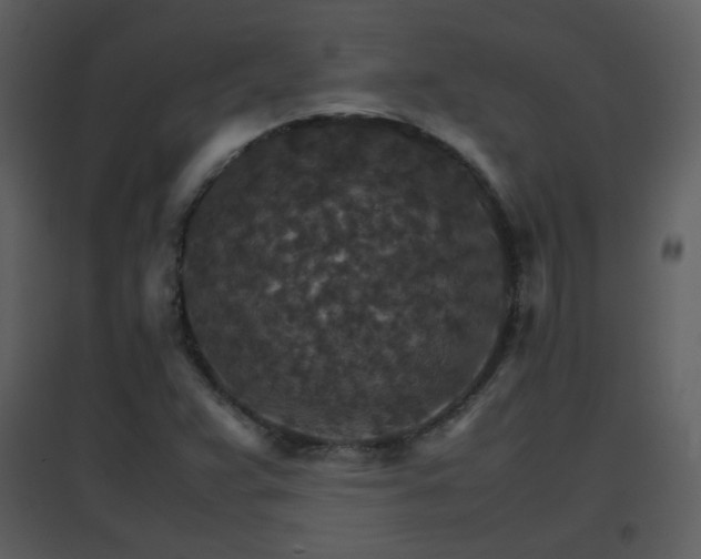 X0000096701359200802121153